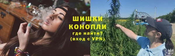 PSILOCYBIN Алексеевка