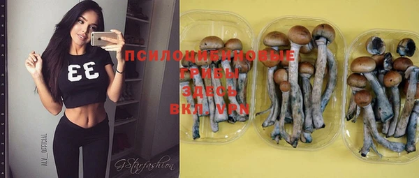 дурь Алексин