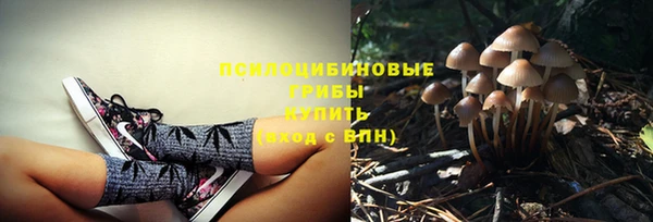 дурь Алексин