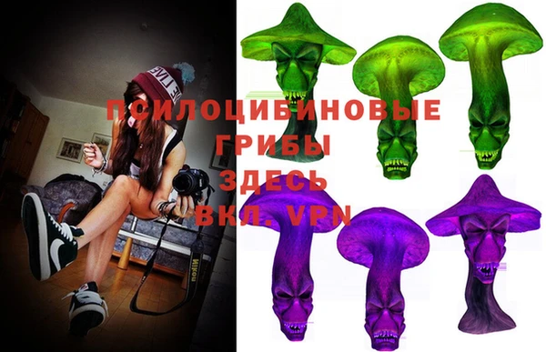 spice Алзамай