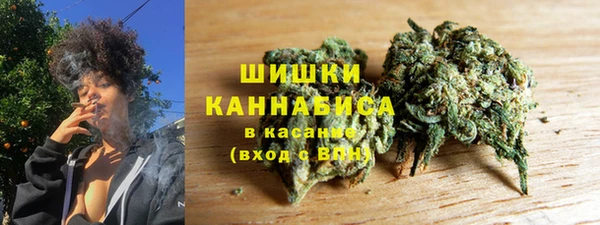 PSILOCYBIN Алексеевка