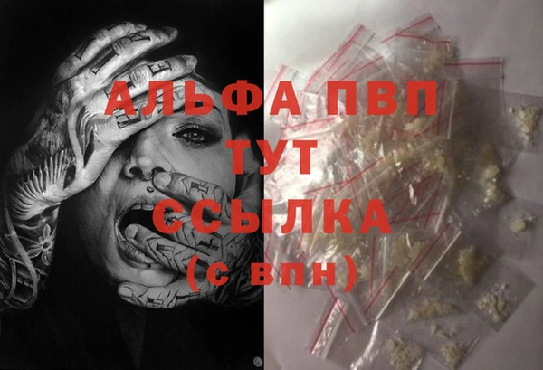 spice Алзамай
