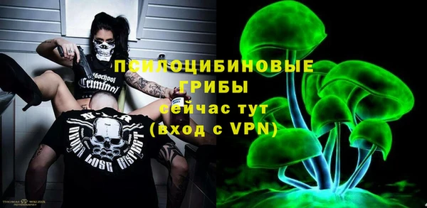 spice Алзамай