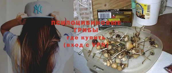 PSILOCYBIN Алексеевка
