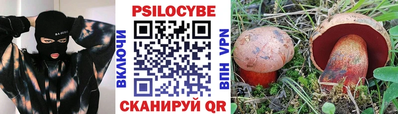 МЕГА онион  Карабаш  Псилоцибиновые грибы мухоморы  магазин  наркотиков 